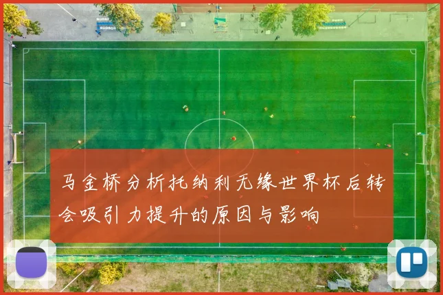 马金桥分析托纳利无缘世界杯后转会吸引力提升的原因与影响